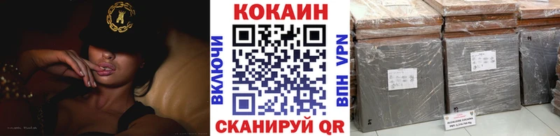 Cocaine FishScale  Питкяранта 