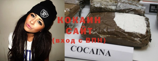 сатива Алзамай