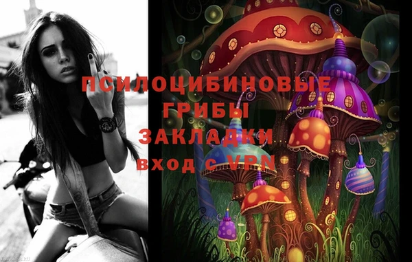 гидропоника Абаза