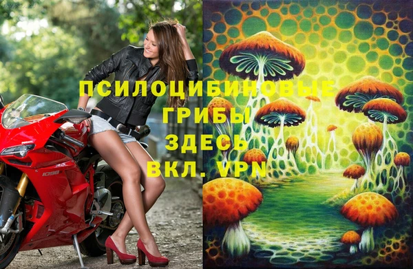 стафф Алексеевка