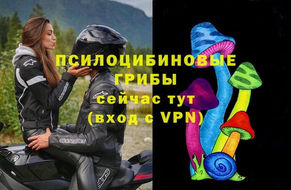 стафф Алексеевка