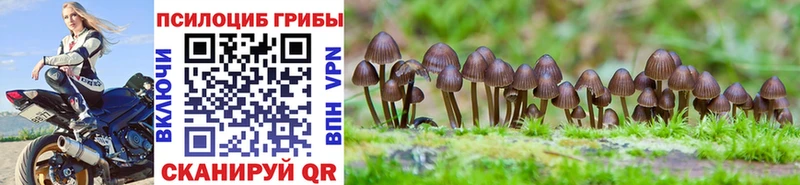 omg ссылки  Питкяранта  Псилоцибиновые грибы Psilocybine cubensis 